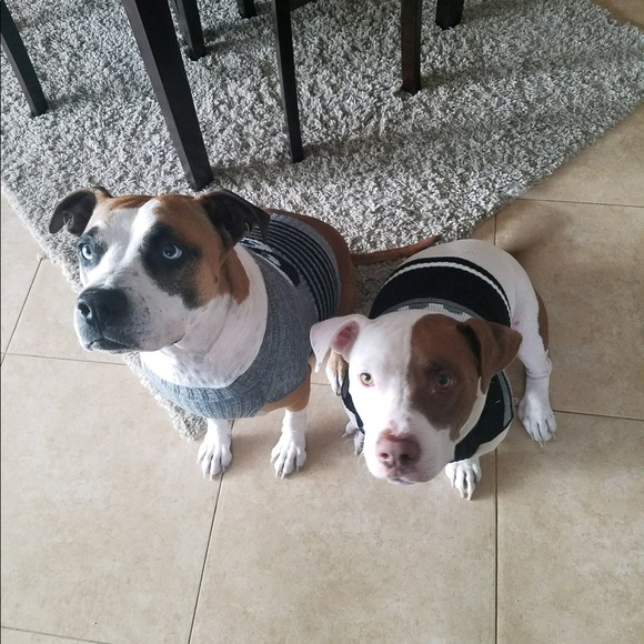 Meet your Posher, Amber - Picture 4 of 7